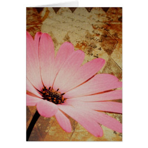 Pink flower mixed media