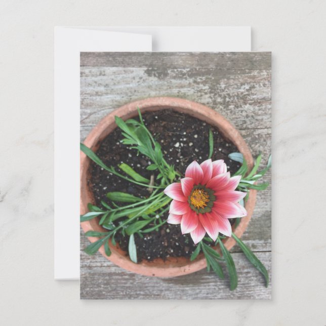 Pink Flower Note Card (Front)