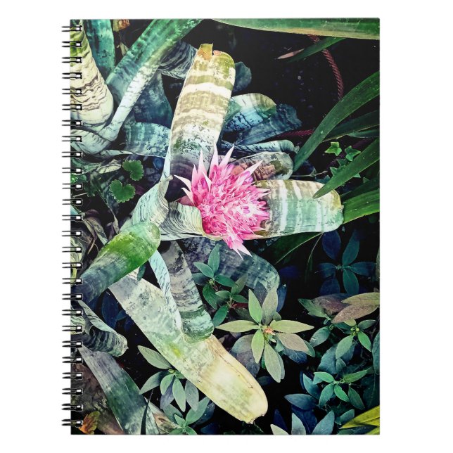 Pink flower notebook (Front)