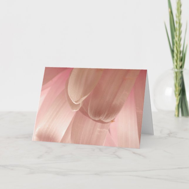 Pink Flower Petals Card (Front)