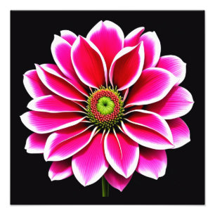 Pink Flower Photo Print