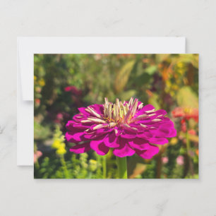 Pink flower postcard