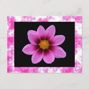 Pink Flower Postcard