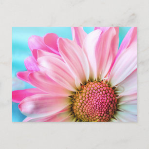 Pink flower postcard