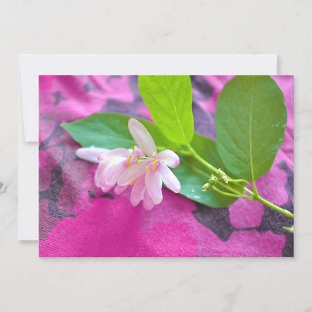 Pink flower postcard (Front)