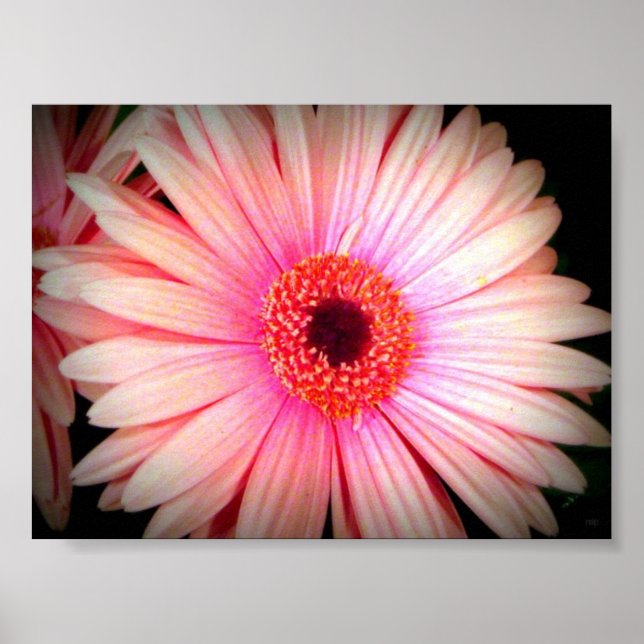 Pink Flower Poster (Front)