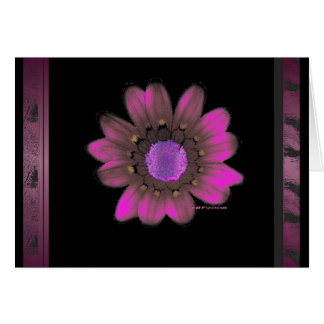 Pink Flower Power