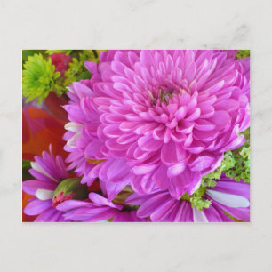Pink flower Power Postcard