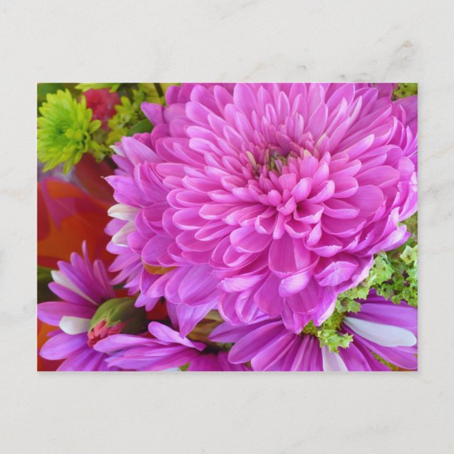 Pink flower Power Postcard (Front)