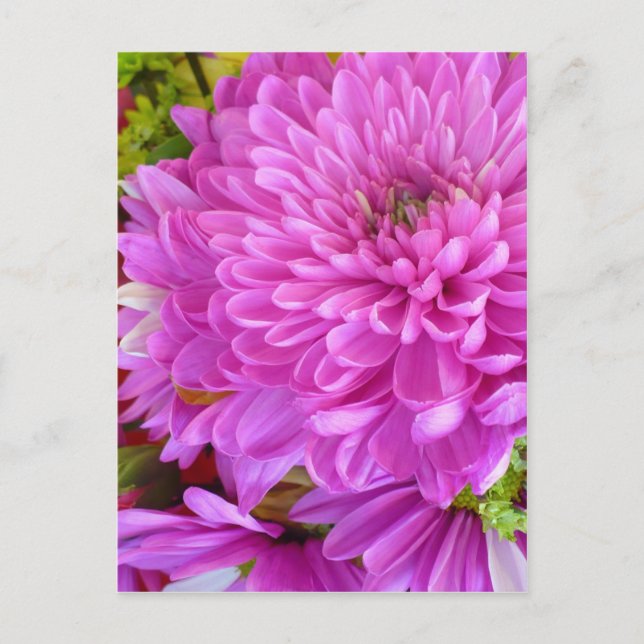 Pink flower Power Postcard (Front)