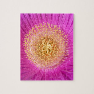 Pink Flower Puzzle