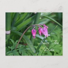 Pink Flower Save the Date Postcard