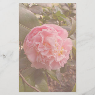 Pink Flower Stationery