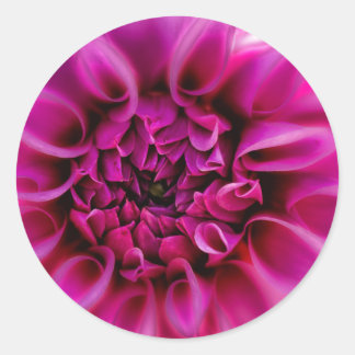 Pink Flower Sticker