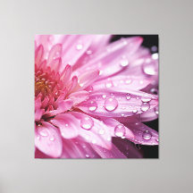 Pink Flower Super Macro with Raindrops