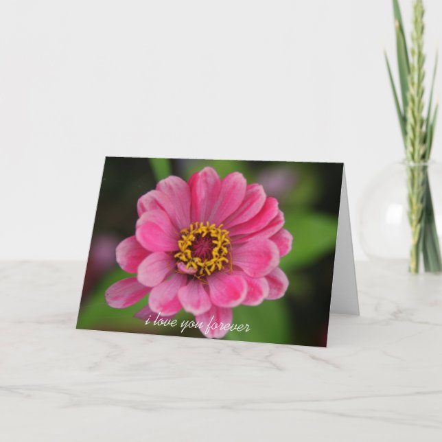 pink flower valentines holiday card (Front)