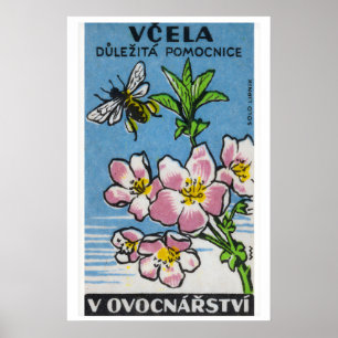 Pink Flower Yellow Bee - Matchbox Print - Czech