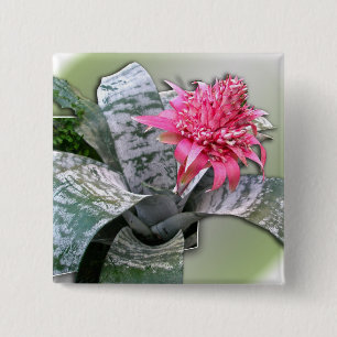 Pink Flowered Bromeliad 15 Cm Square Badge