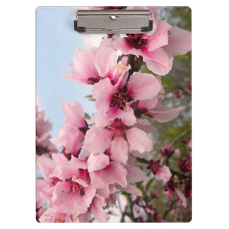 Pink Flowering Branch Clipboard