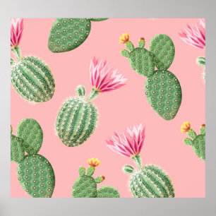 Pink Flowering Cactus Light Background Poster
