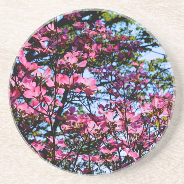 Pink flowering Dogwood tree Coaster (Front)