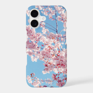 Pink Flowering Japanese Cherry Blossoms