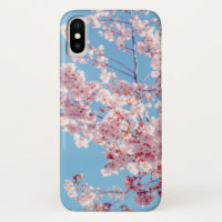 Pink Flowering Japanese Cherry Blossoms