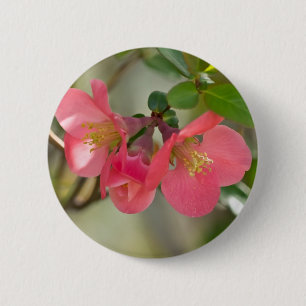 Pink Flowering Quince Glow 6 Cm Round Badge