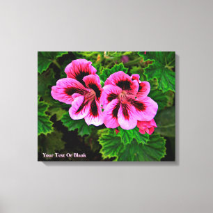 Pink Flowers 1 Canvas Print