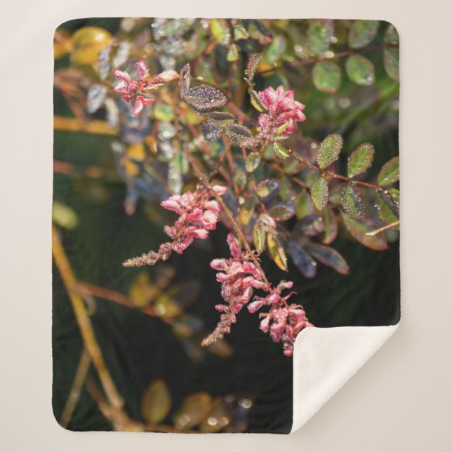 Pink flowers against a black background sherpa blanket (Front)