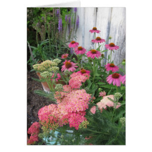 Pink Flowers and Bees in Garden Blank Note Card