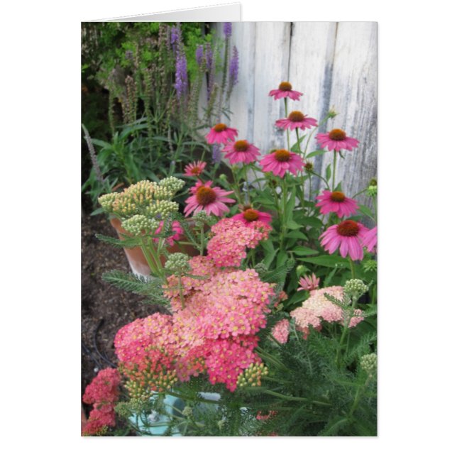 Pink Flowers and Bees in Garden Blank Note Card (Front)