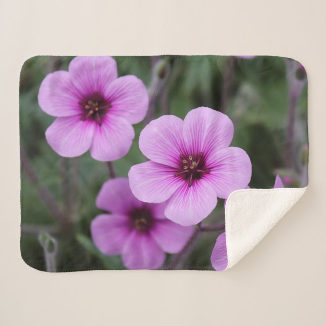 Pink Flowers Baby Blanket Small (Front (Horizontal))