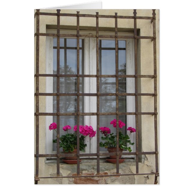 Pink Flowers Behind Iron Bars (Front)