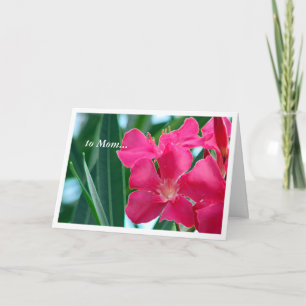 Pink Flowers Card