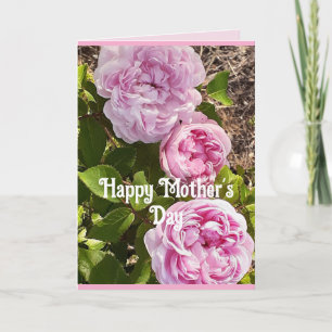 Pink Flowers Floral Rose Roses Mothers Day Card
