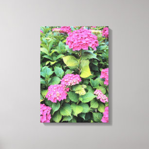 Pink Flowers Hydrangea  Single Print
