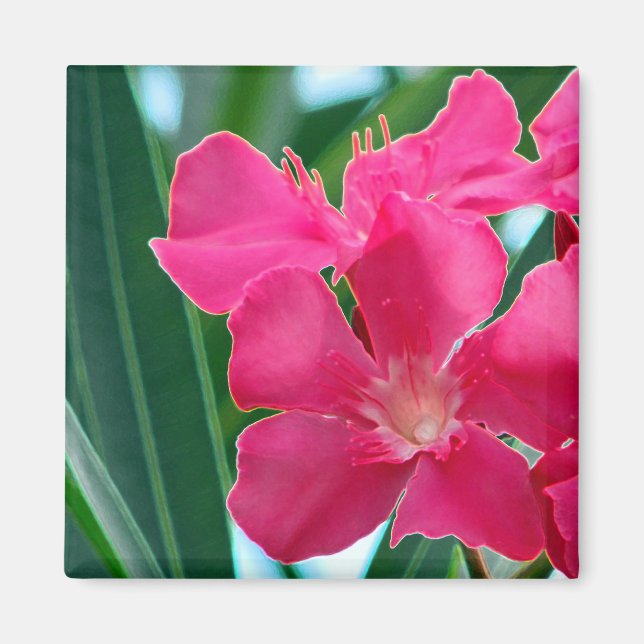 Pink Flowers Magnet (Front)