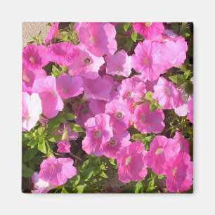 Pink Flowers Magnet