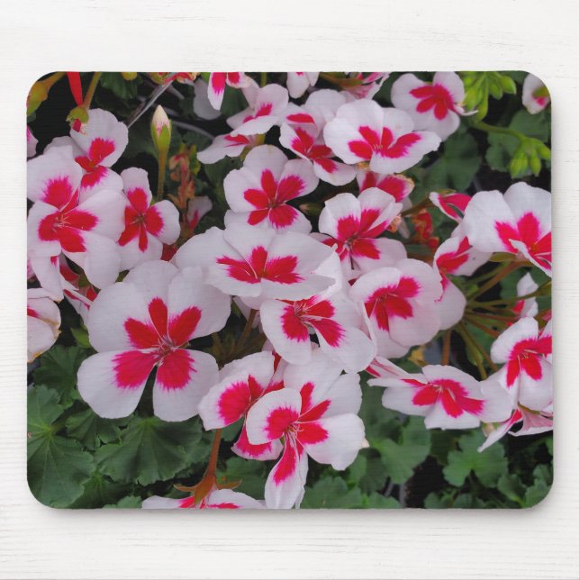Pink flowers mouse pad (Front)