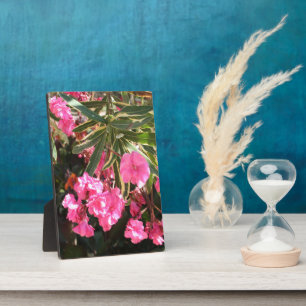 Pink flowers on the tree plaque