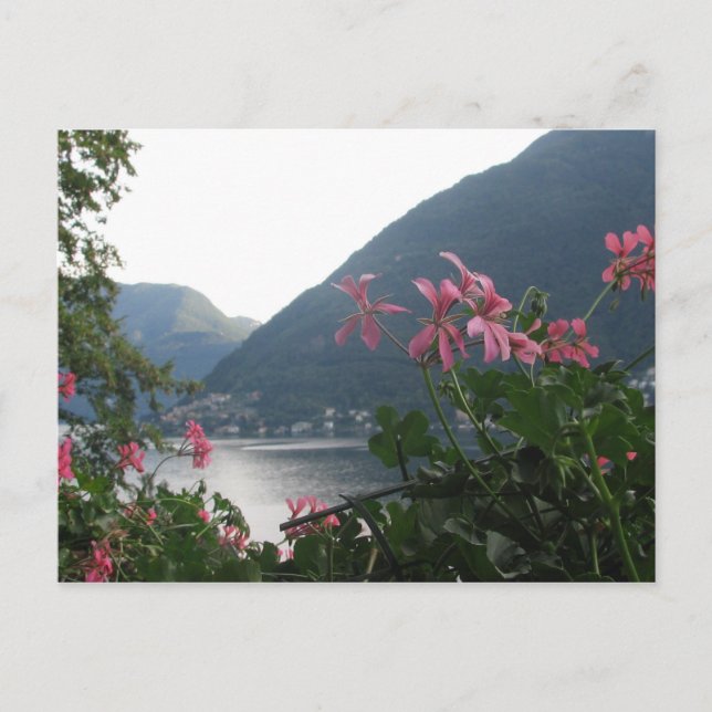 Pink flowers over Lake Como Postcard (Front)