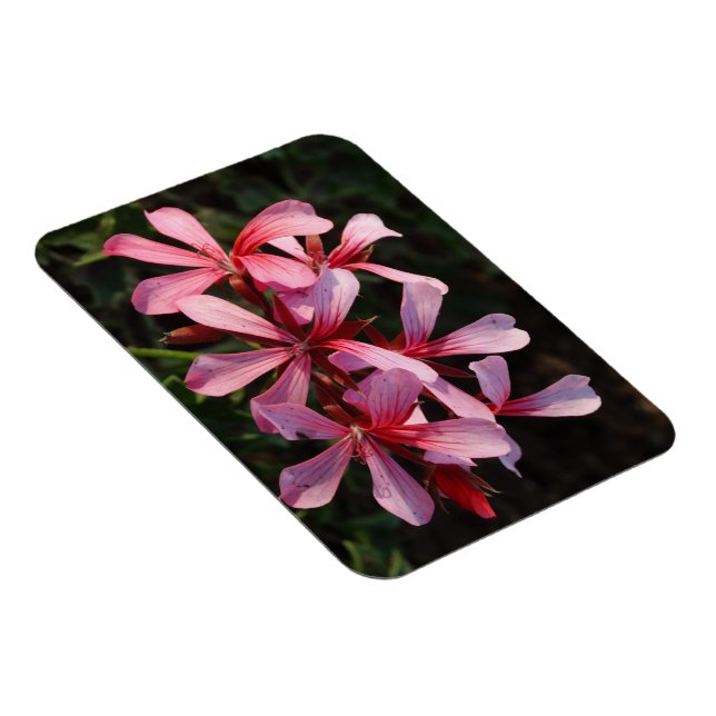 Pink Flowers Photo Magnet (Right Side)