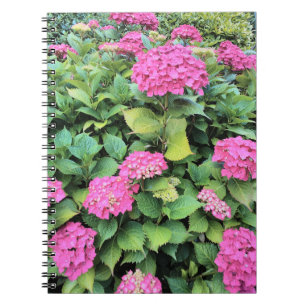 Pink Flowers Photo Notebook