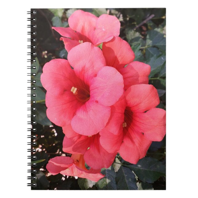 Pink Flowers Photo Notebook (Front)