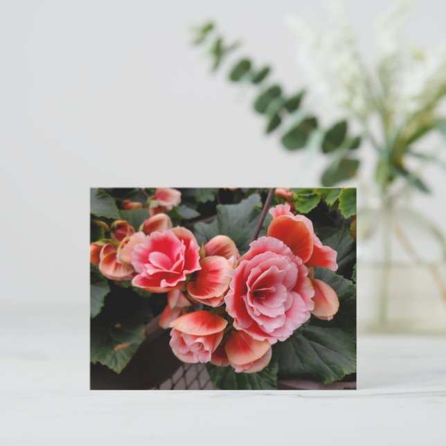 Pink flowers postcard (Standing Front)
