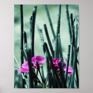 Pink Flowers Poster