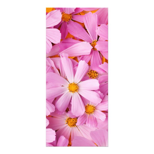 Pink Flowers Rack Card (Front)