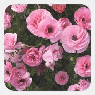 Pink flowers sticker
