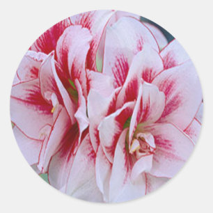 Pink Flowers Stickers